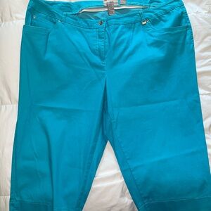TanJay Tiel Blue Capri Pants